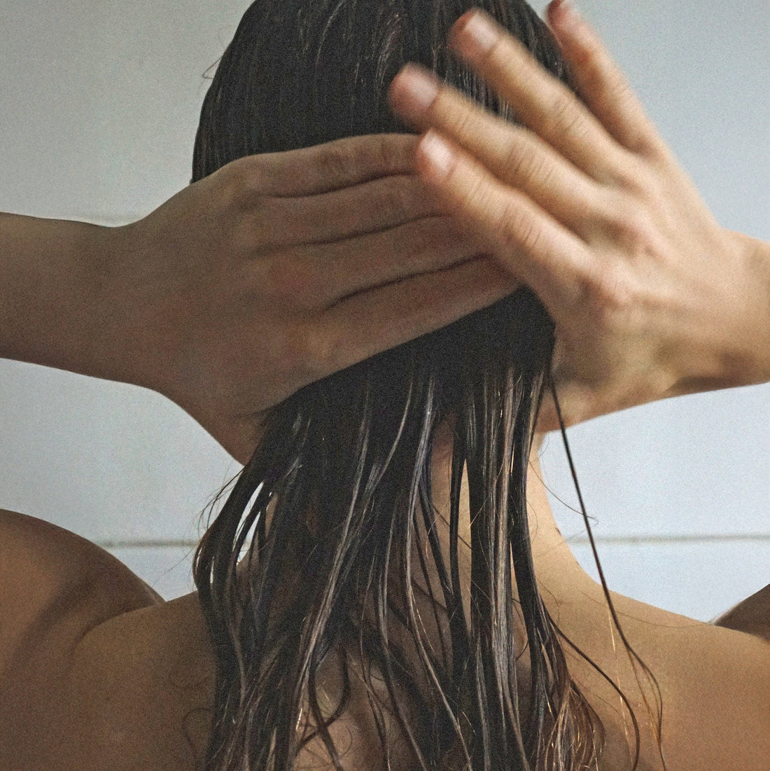 Shampoo + Free Conditioner